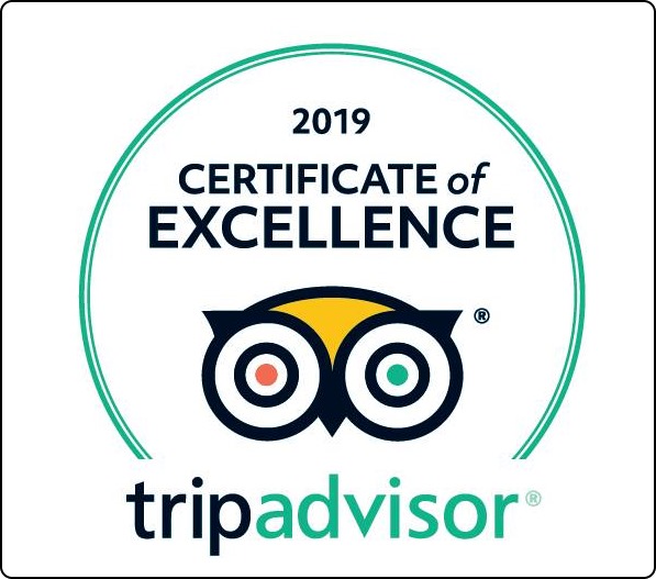 Trip Advisor